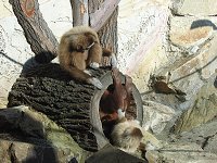 thn_IMG_008445 (2).jpg